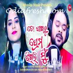 To Pakharu Prema Sikhili Mu